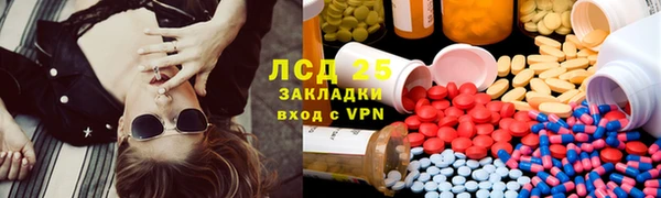 дмт Алзамай