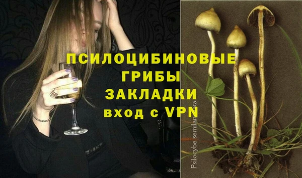 дмт Алзамай