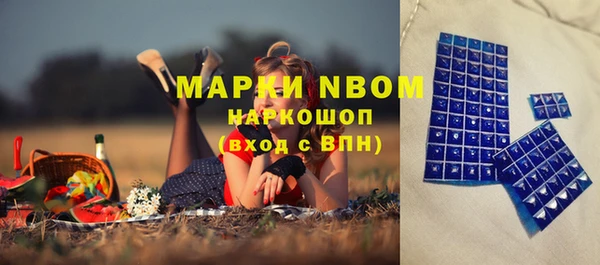дмт Алзамай