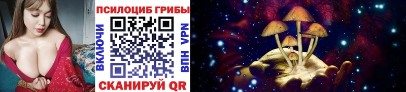 Галлюциногенные грибы GOLDEN TEACHER  купить  сайты  Старый Оскол 